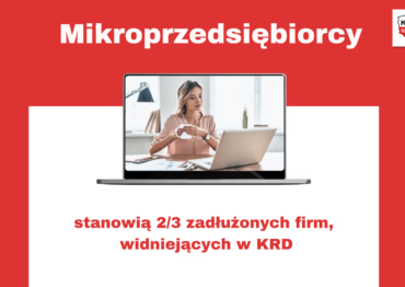 Krajowy Rejestr Długów: Najwięcej zadłużonych mikrofirm ma siedzibę w województwie mazowieckim