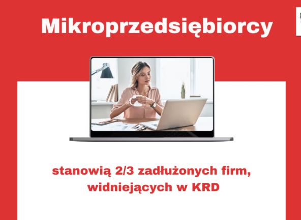 Krajowy Rejestr Długów: Najwięcej zadłużonych mikrofirm ma siedzibę w województwie mazowieckim
