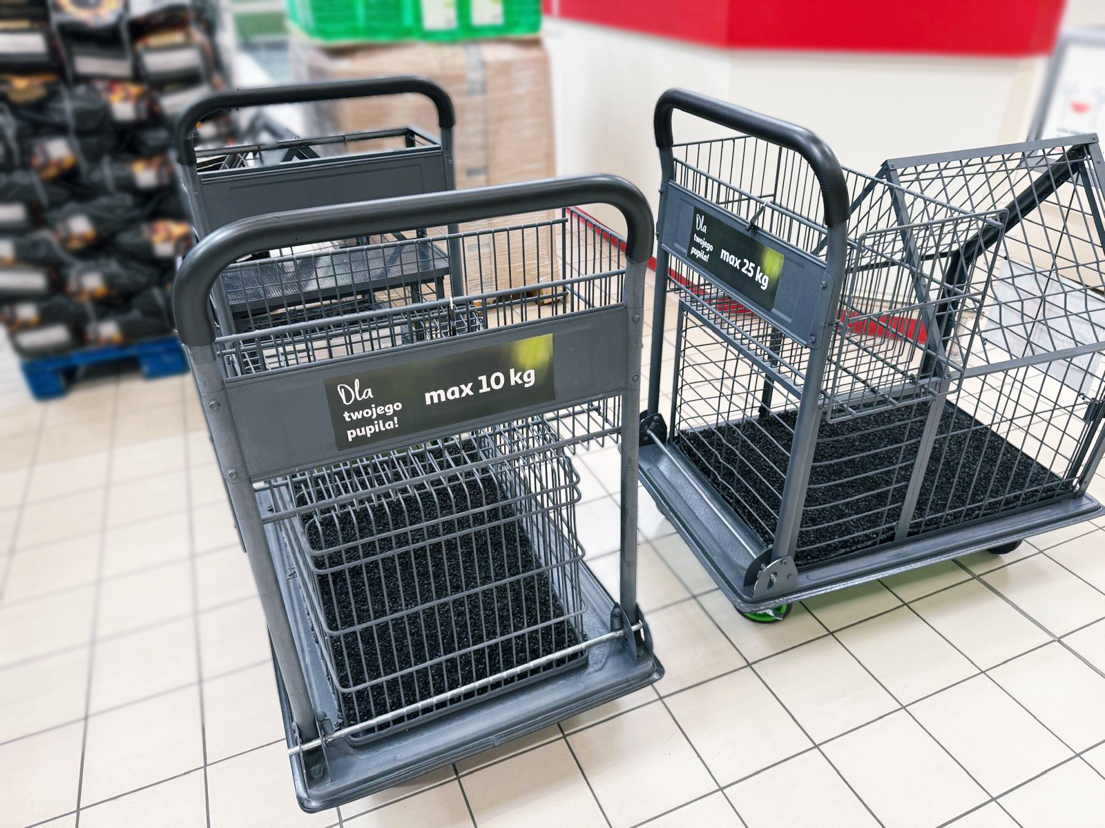 Auchan Polska jako pierwsza sieć w Polsce wprowadza wózki sklepowe dla psów