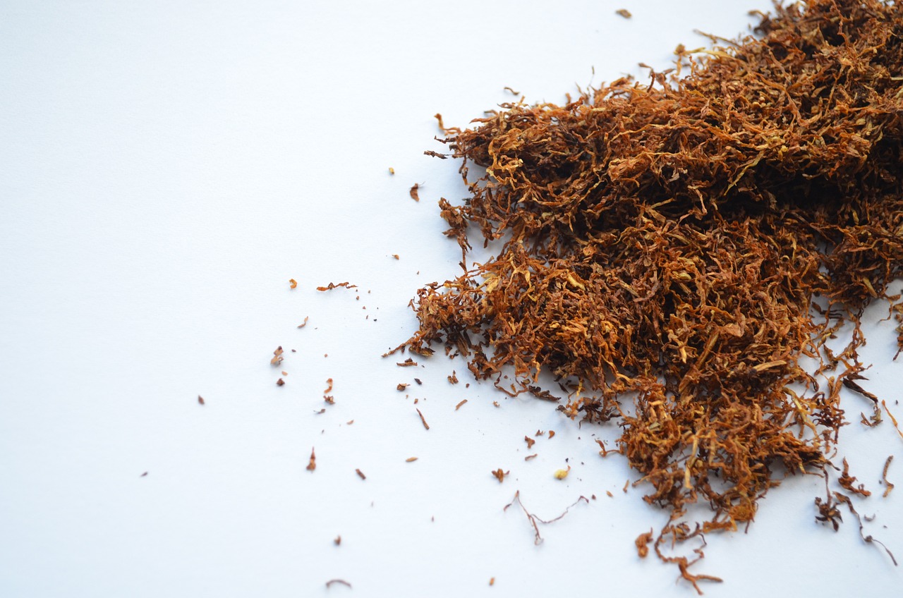 Ministerstwo Zdrowia chce zakazać sprzedaży mentolowych wkładów do podgrzewaczy tytoniu