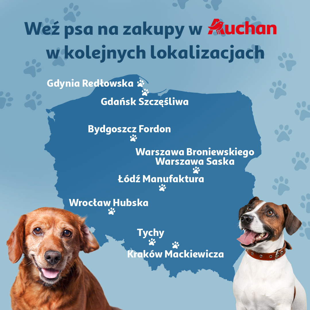 Auchan obchodzi Światowy Dzień Zwierząt