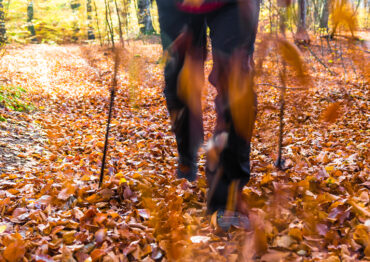 Sportowy weekend z “Poradnikiem Handlowca”: Nordic walking w jesiennej odsłonie