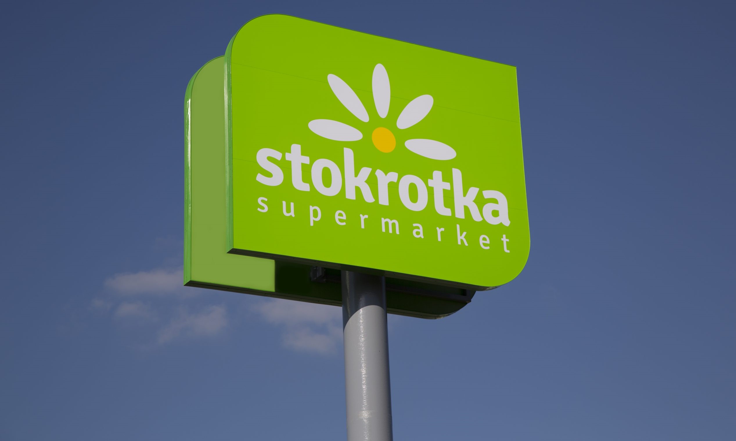 Stokrotka bardziej zielona