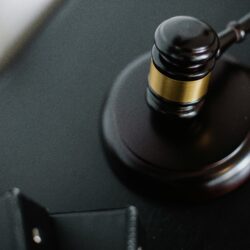 SKS dla „PH”: Znakowanie ekologicznych produktów spożywczych w świetle orzeczeń TSUE