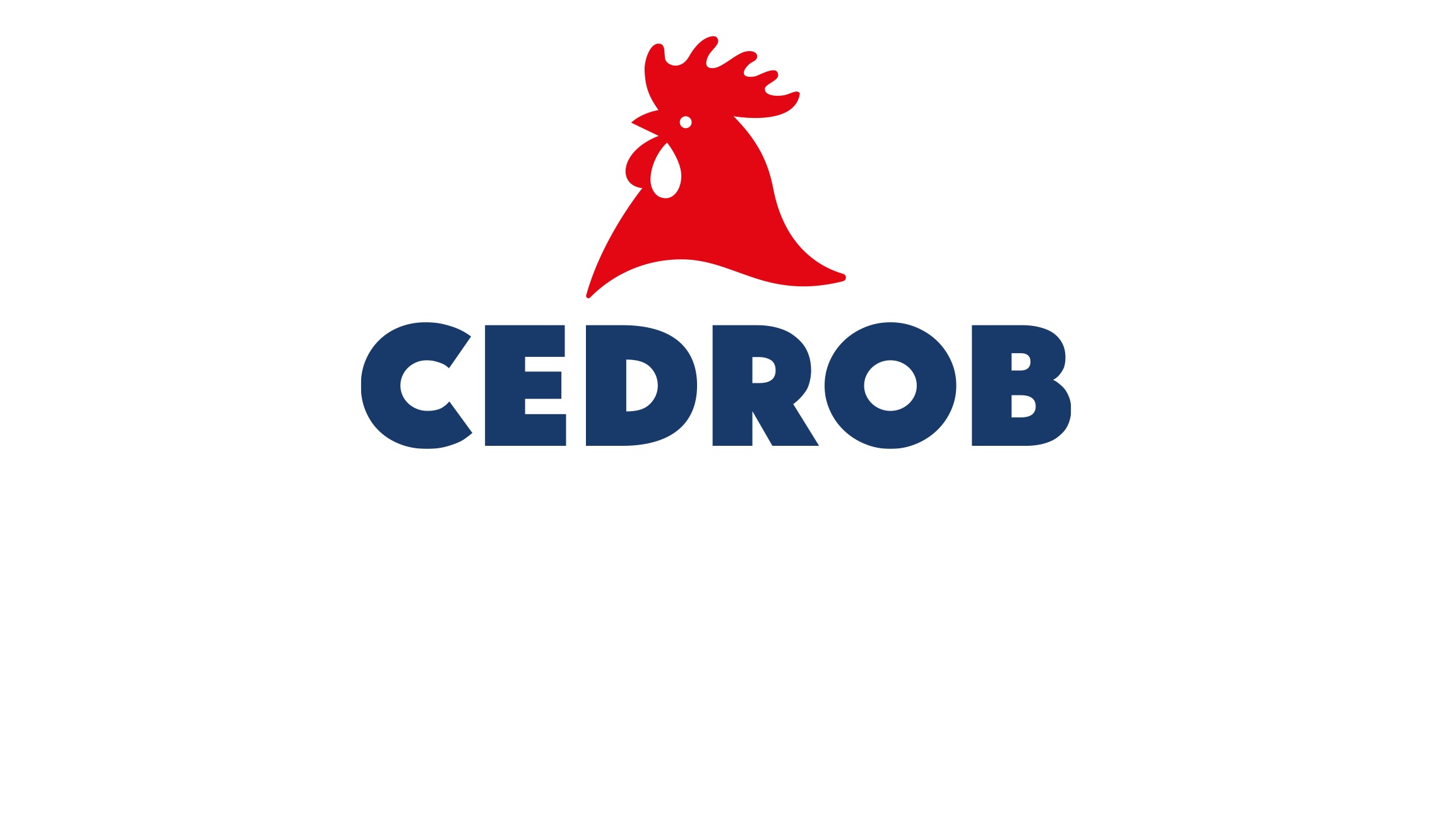 Cedrob Foods reaguje na pożar: produkcja przeniesiona do innych zakładów