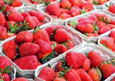 KOWR: Polska na drugim miejscu w UE w produkcji truskawek