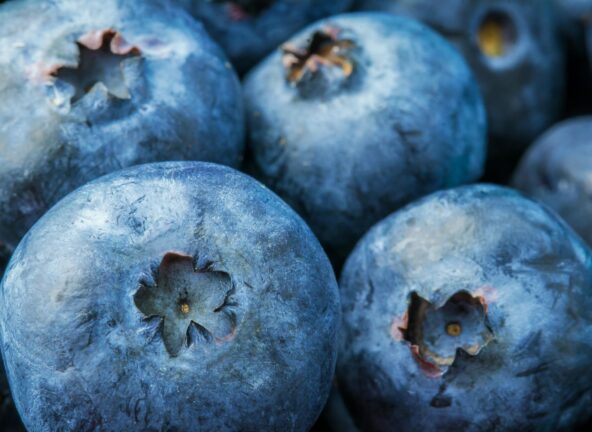 KANTAR: Lato z borówkami - kolejny rekord konsumpcji