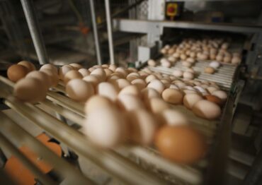 ALDI wycofuje ten produkt. Powodem troska o zwierzęta