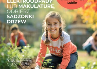 Stokrotka zachęca do ekologicznych działań: „Drzewko za surowce wtórne” już 18 października w Lublinie