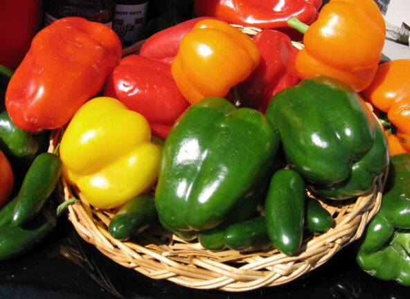 Zbiór droższy niż sprzedaż. Rolnik z Gałkowic oddał 60 ton papryki za darmo