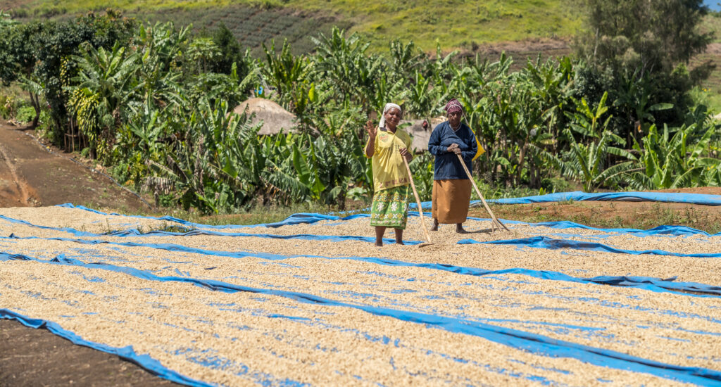 Rarität Roku Tchibo już dostępny. Kenta, czyli świąteczny smak z Papui Nowej Gwinei