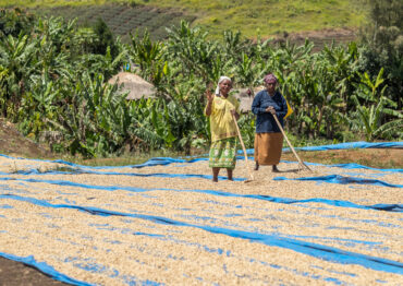 Rarität Roku Tchibo już dostępny. Kenta, czyli świąteczny smak z Papui Nowej Gwinei