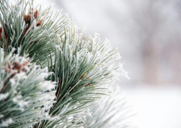 IMGW: Zima zgodna z normą i korzystna dla rolnictwa