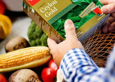 Dilmah Ceylon Gold 100+20 torebek: więcej smaku na wspólne chwile