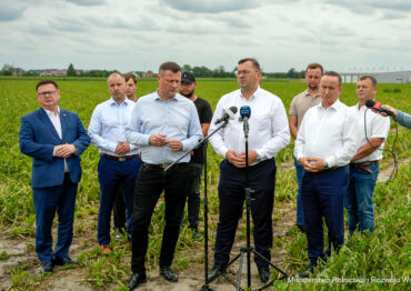 Krajowa Grupa Spożywcza udzieli wsparcia rolnikom poszkodowanym przez gradobicia